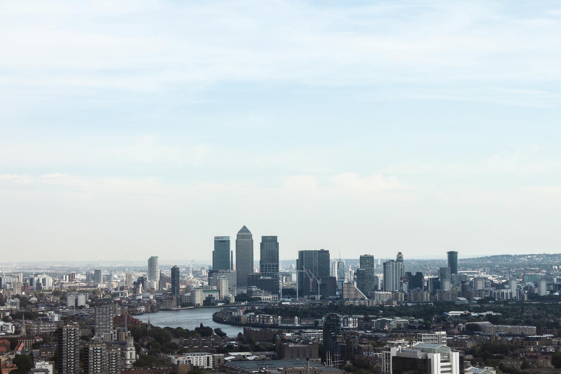 Navigating the Financial Jungle: Finding Your Perfect Advisor
